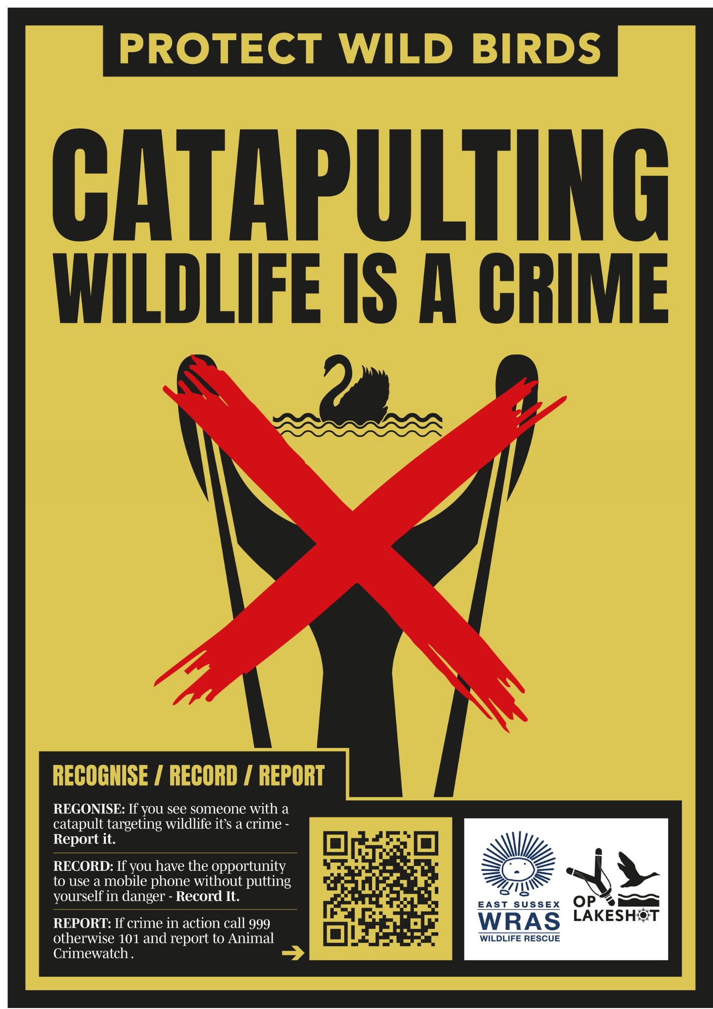 Catapult Crime – It Must Stop!