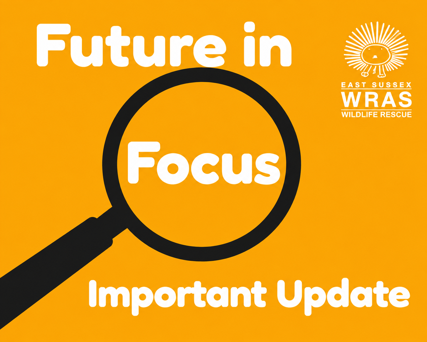 Future in Focus – We Did It!